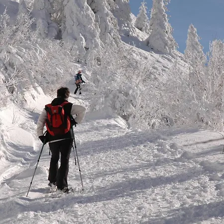 La St-andre - T2 Art Deco - Centre Apartment